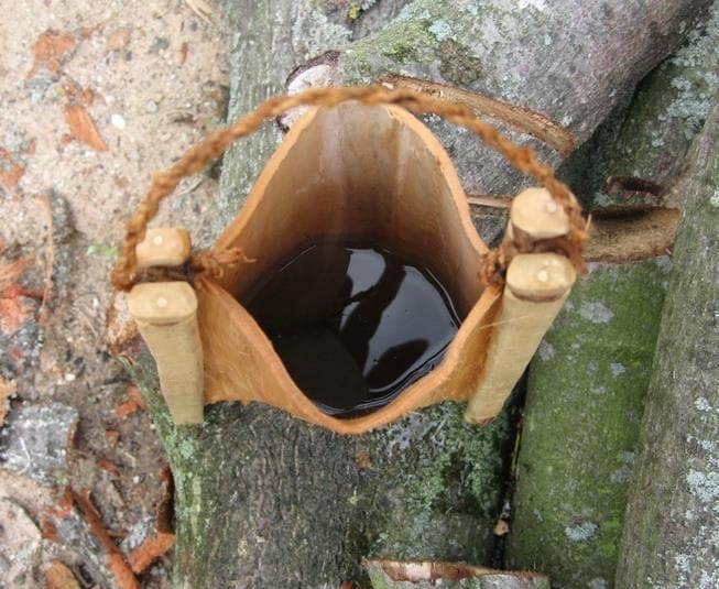 Емкость для воды из липовой коры