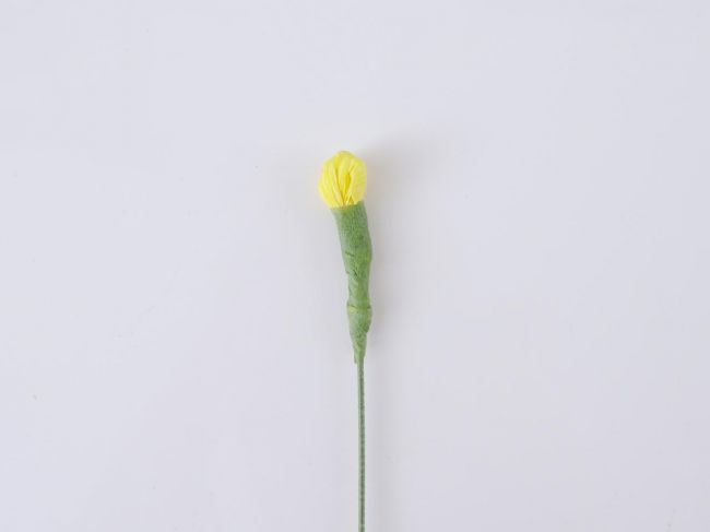 Цветы крепивы: тюльпан, маргаритка и пион