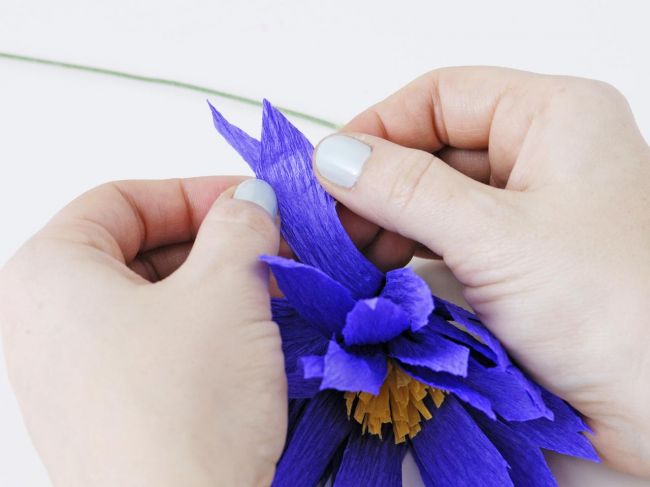 Цветы из креповой бумаги: тюльпан, ромашка и пион