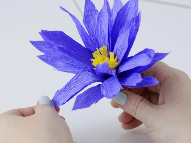 Цветы из креповой бумаги: тюльпан, ромашка и пион